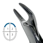 Щипцы американского образца 250-150 CRYER, Schwert