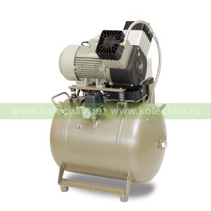 EKOM DK50 2V/50 – безмасляный компрессор без шкафа, без осушителя, для двух стоматологических установок (135 л/мин, 6 – 8 бар) / Гарантия 2 года